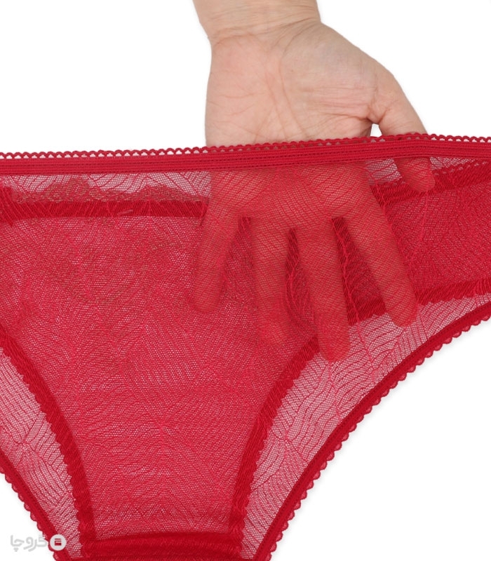 ست شورت و سوتین توری فنردار Barone بارون گلدوزی کد 335 مدل 088