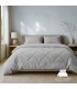 طوسی روشن