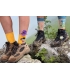 جوراب Alter Socks طرح بوسه گوستاو کلیمت