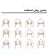 چسب لیفت سینه نواری 5 متری کد 75