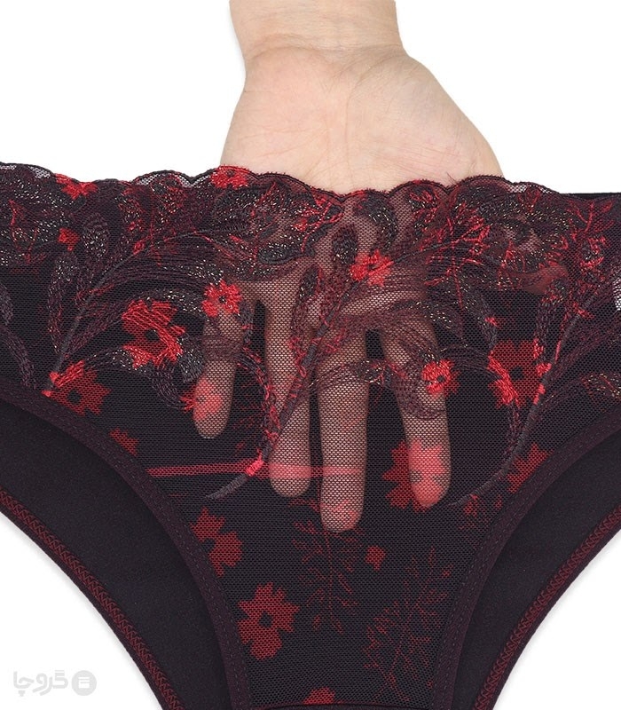 ست شورت و سوتین توری فنردار هارنس نوشه پوش گلدوزی کد 840 طرح 41