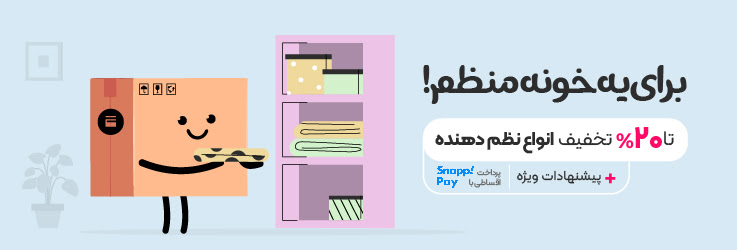 نظم دهنده