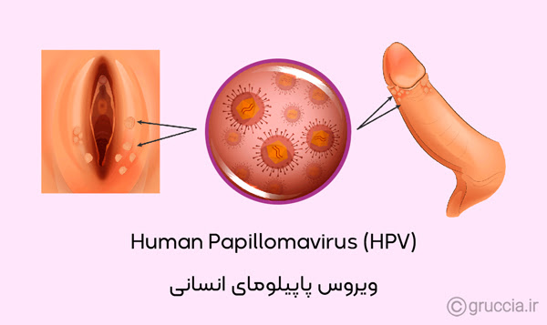 ویروس اچ پی وی HPV