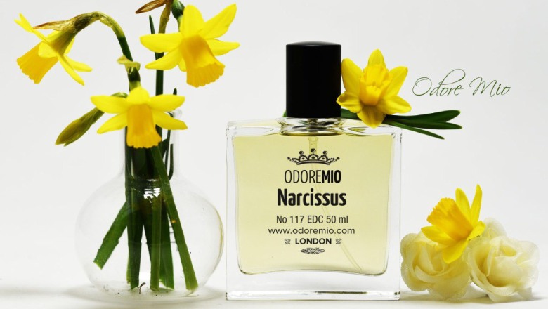 فراگونارد نارسیس یک Eau de Toilette با بوی گل نرگس است که نت‌های عجیب‌‌وغریب و خلاقانه‌ای دارد. 