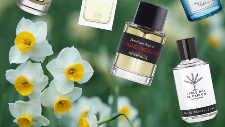 بهترین عطر با بوی گل نرگس
