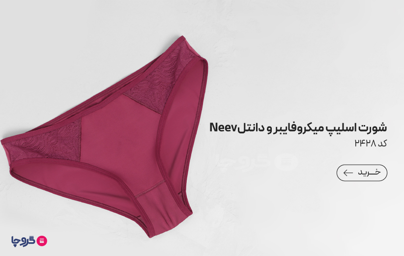 شورت زنانه Neev نیو اسلیپ میکروفایبر و دانتل کد 2428
