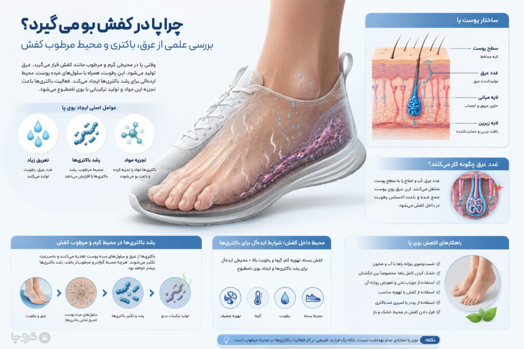 ارتباط تعریق پا و رشد باکتریها در ایجاد بوی بد