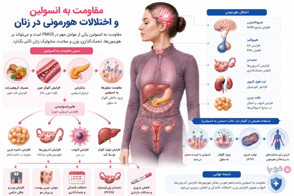 اینفوگرافیک پزشکی درباره نقش مقاومت به انسولین در اختلالات هورمونی زنان، افزایش آندروژنها، PCOS، افزایش وزن و مشکلات باروری.