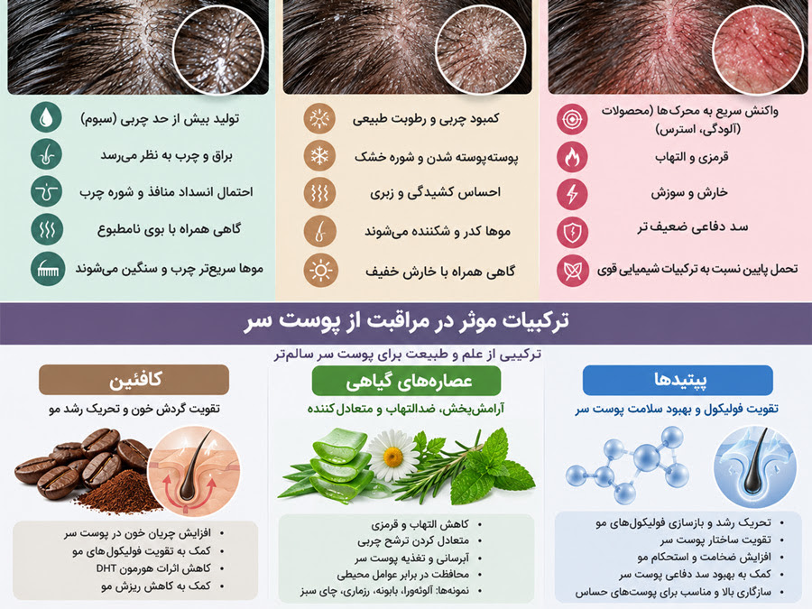 نمای آموزشی ترکیباتی مانند کافئین، عصاره گیاهی و پپتیدها